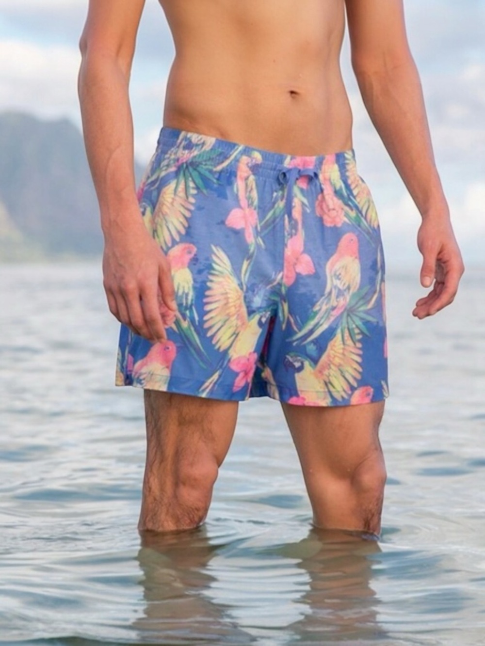 CHUBBIES Parrot Print Swim‎ Shorts